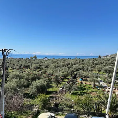 Lea Mare Qeparo